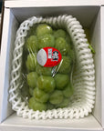 桃太郎ぶどう