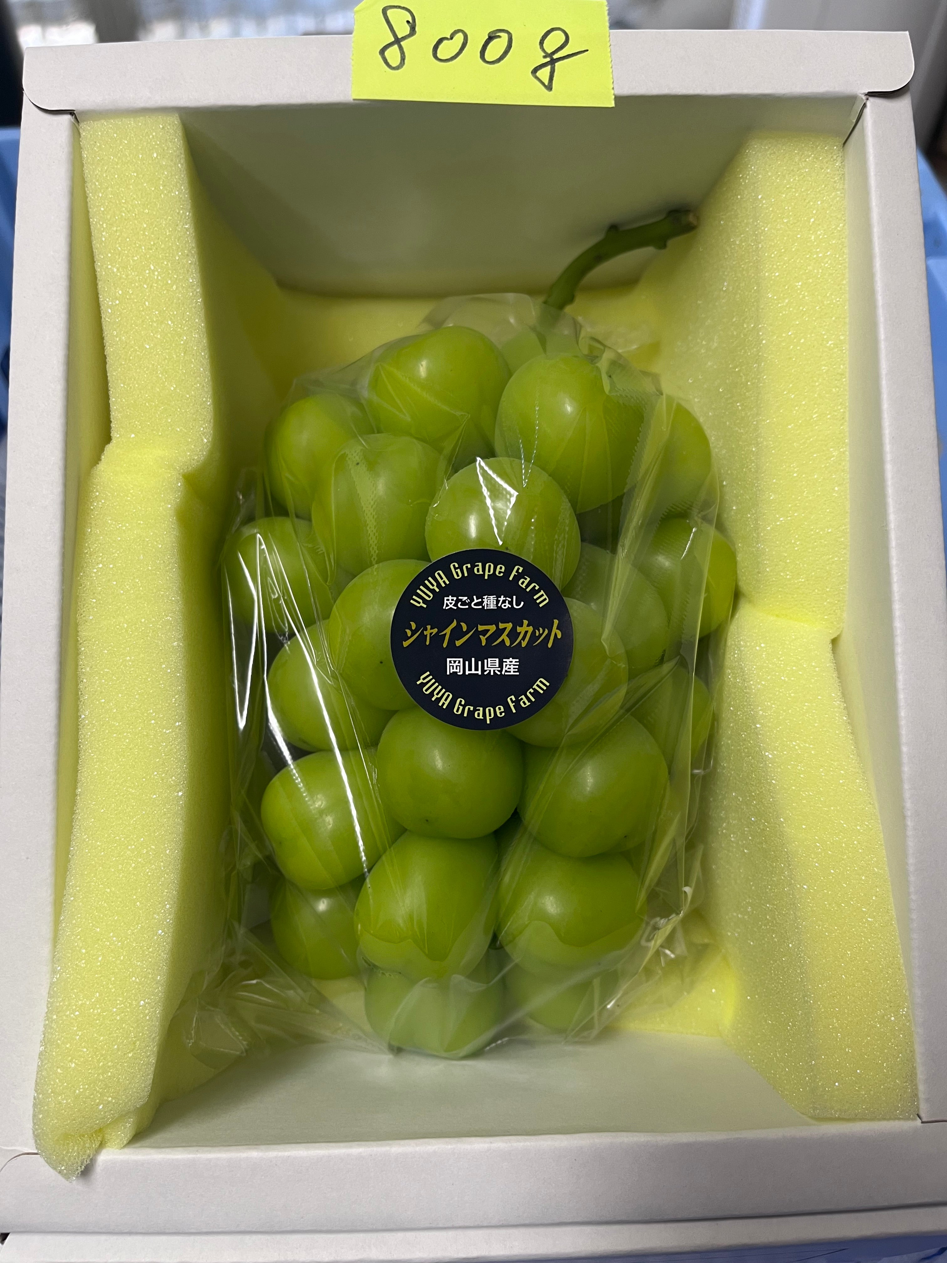 シャインマスカット – 株式会社Y'sFarm（旧ゆうや農園）