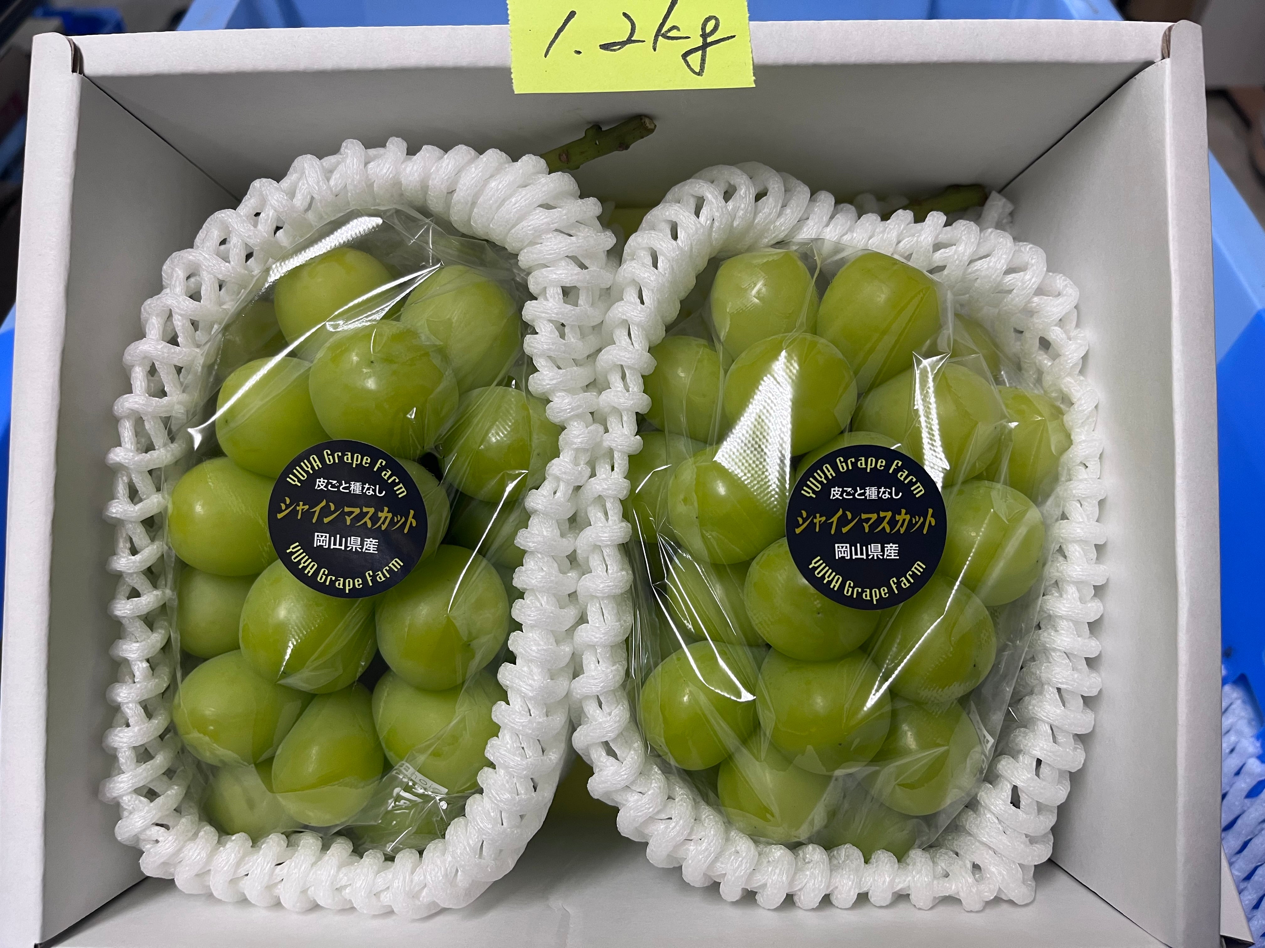 シャインマスカット – 株式会社Y'sFarm（旧ゆうや農園）