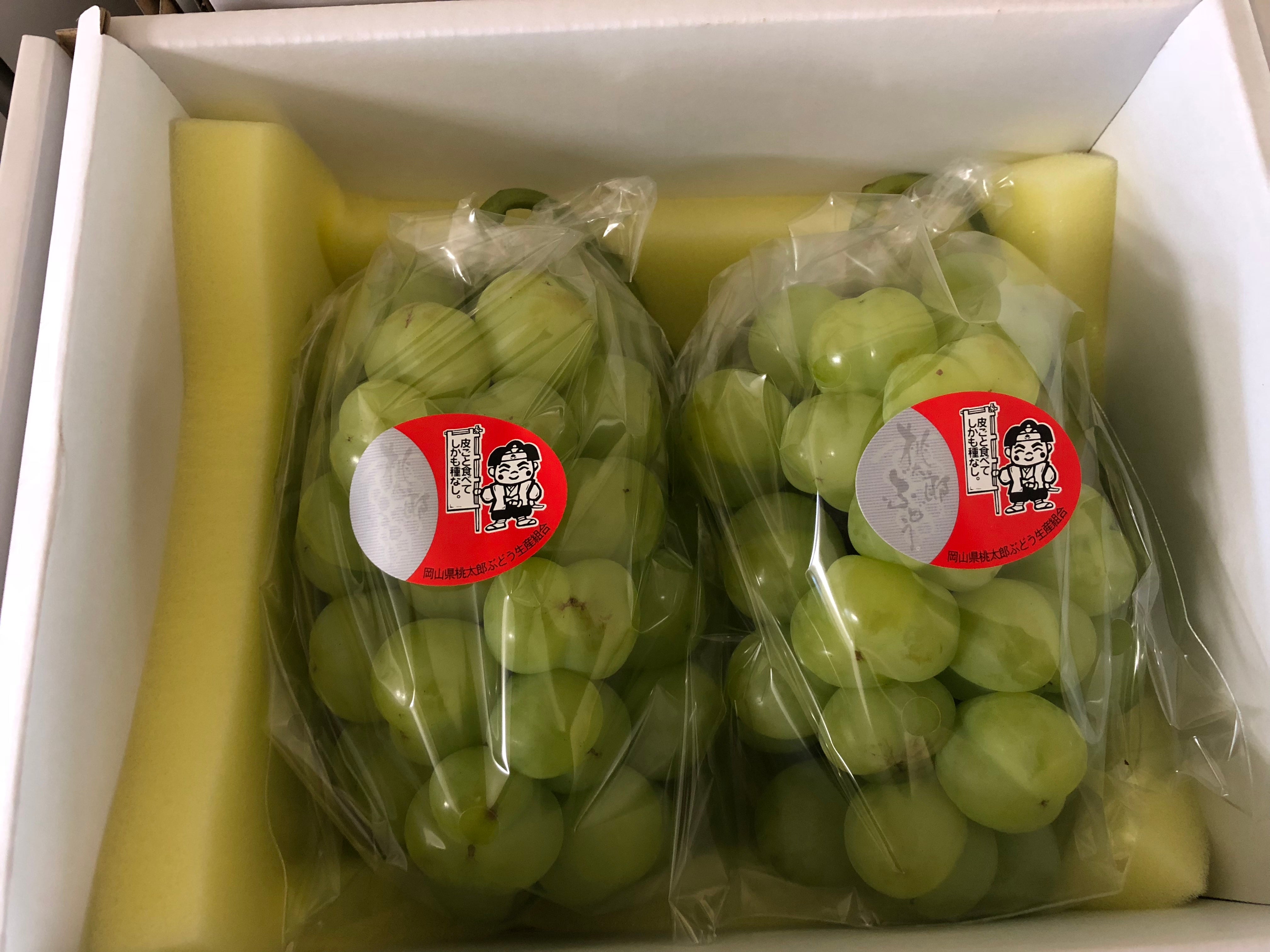 桃太郎ブドウ – 株式会社Y'sFarm（旧ゆうや農園）