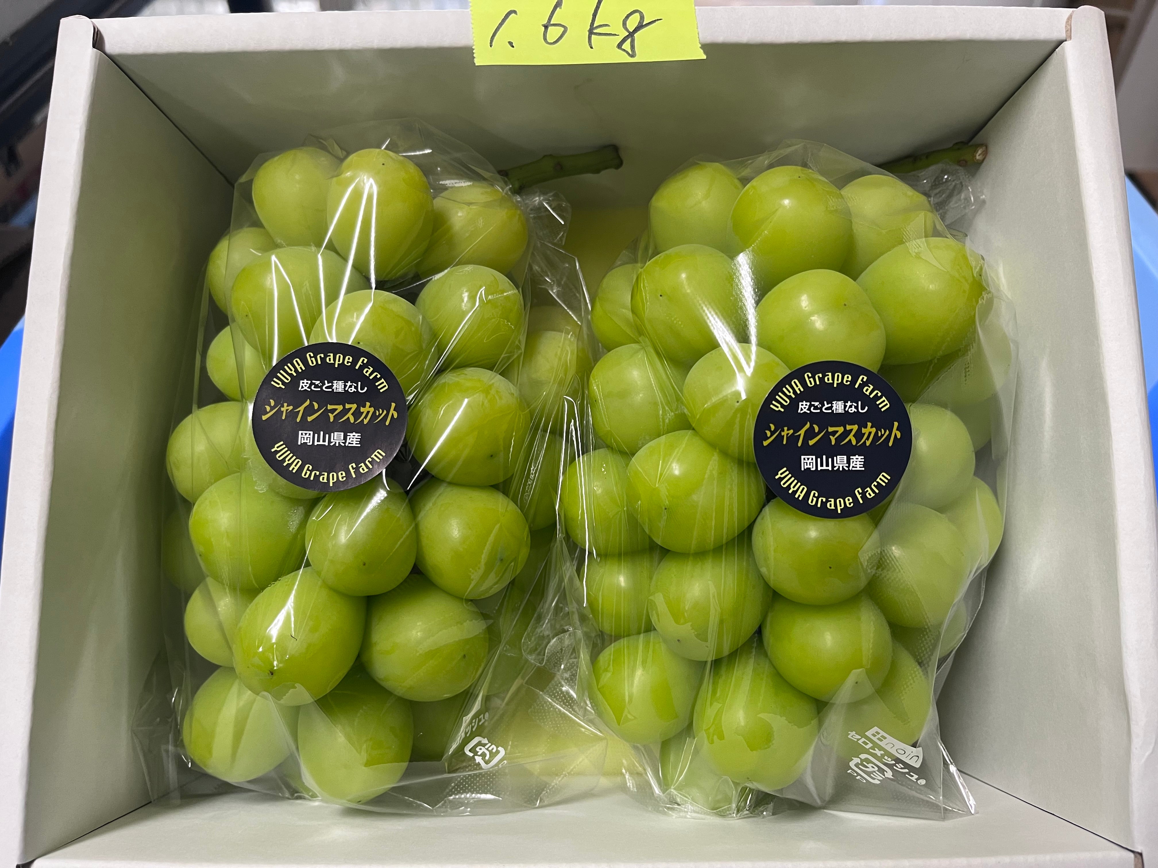 シャインマスカット – 株式会社Y'sFarm（旧ゆうや農園）