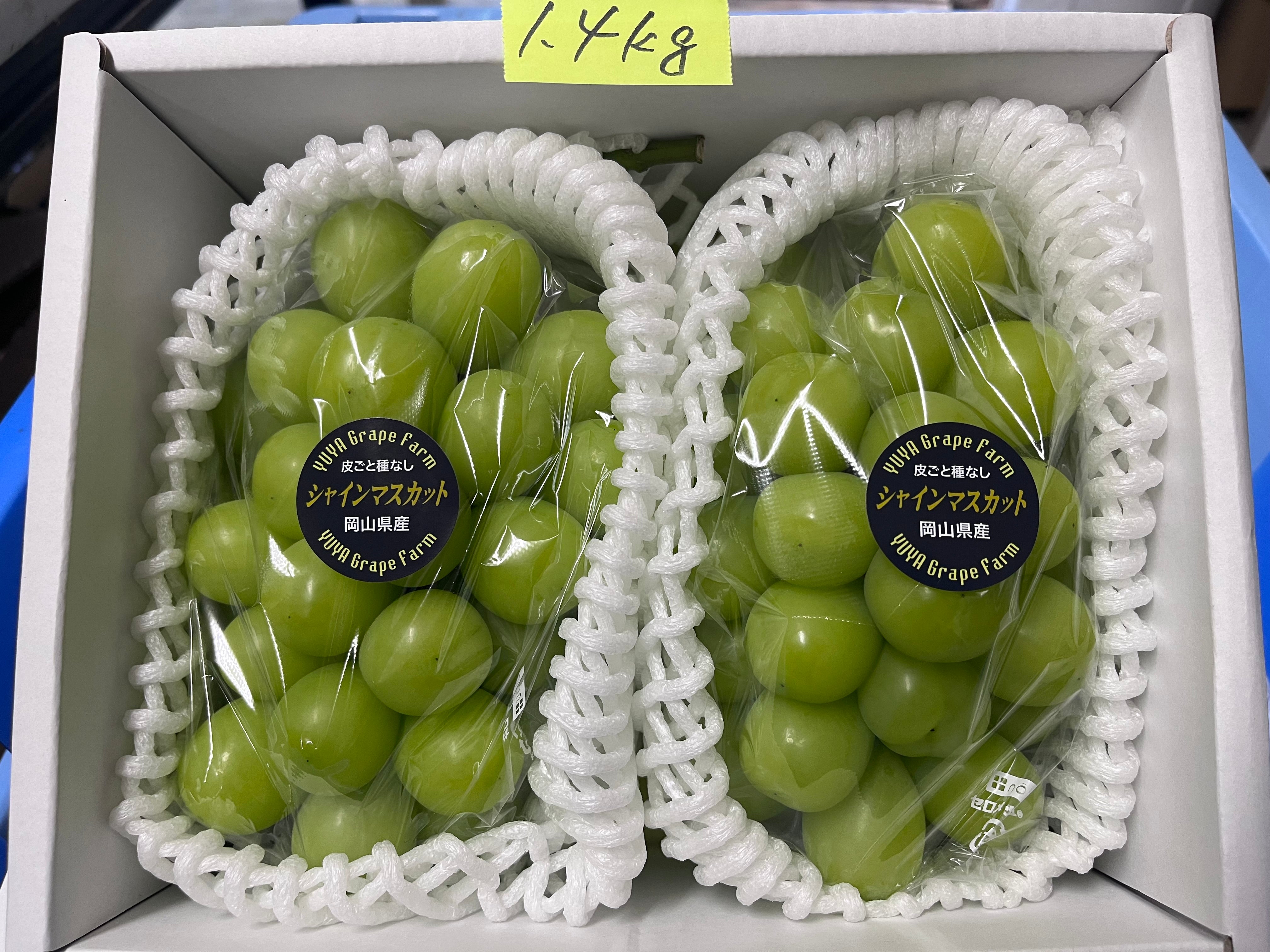 シャインマスカット – 株式会社Y'sFarm（旧ゆうや農園）